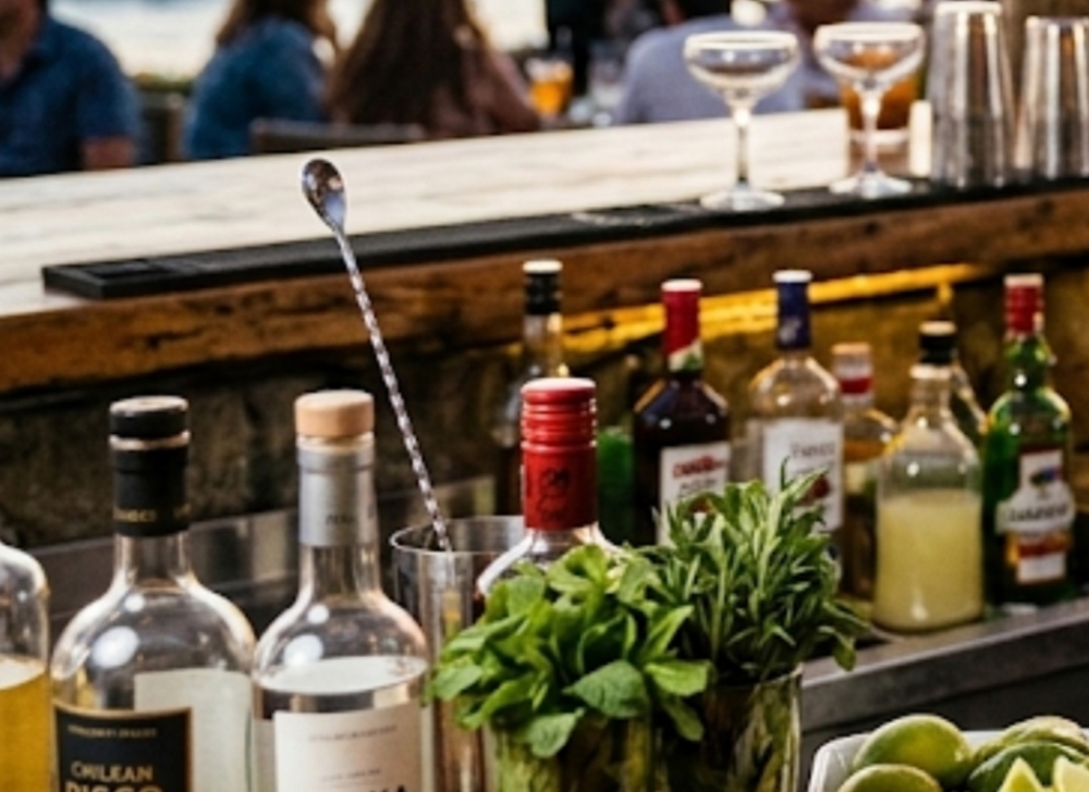 Bartender para Eventos y Servicios Gastronómicos ​Quilpué, Valparaíso, Chile